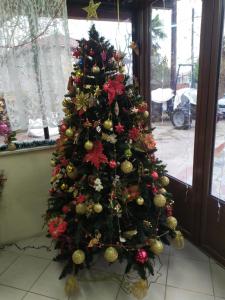 ΣΕΤΣΚΟΣ ΖΗΣΗΣ