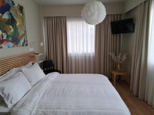 Historic Center Luxury Studio Apartment