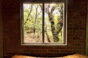 The Red Cabin at the bottom of Tepoztláns Forest