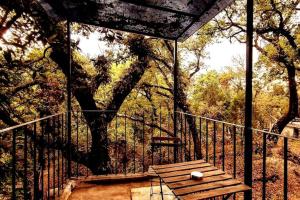 The Red Cabin at the bottom of Tepoztláns Forest
