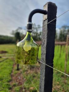 TinyWine House Vale dos Vinhedos - Cabana Chardonnay