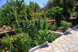 Vliho Bay Suites & Apartments Lefkada Greece