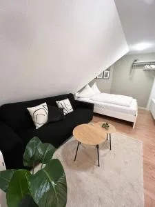 NAMI - ROBIN - Helle Apartments mitten in der Stadt - Trunkelsberg