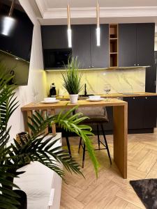 Apartamenty Kielce- APARTAMENT SAPHIRE przy zalew kielecki, faktura, parking, centrum