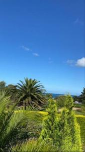 Maisons de vacances La Petite Maison Rose : photos des chambres