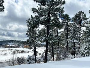 Mountain Escape, wFireplace!