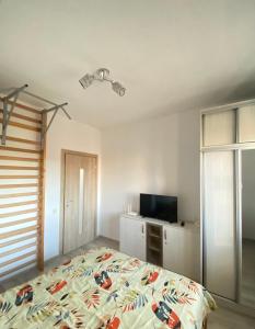 Comfort Class Apartment