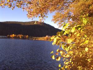 Gîte à Gérardmer - Proche lac et pistes, Chem cheminée, 2 chambres - FR-1-589-108