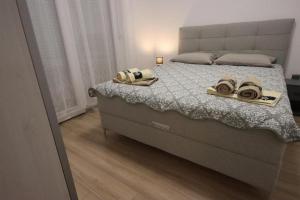 Apartments with parking space Bibinje, Zadar - 22104