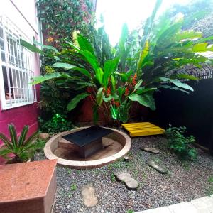 Linda Casa, super espaçosa e charmosa no coração de Botafogo