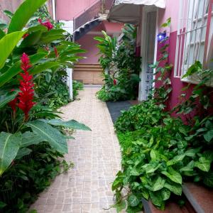 Linda Casa, super espaçosa e charmosa no coração de Botafogo