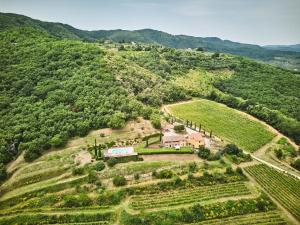 Farmhouse in Chianti with Pool and Garden