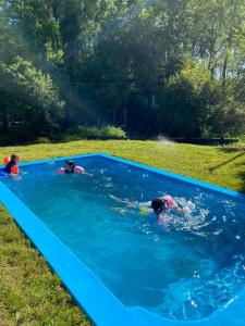 Villarrica Pucón Aldea Molco