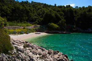 Isolated apartments with a parking space Cove Medvidina, Hvar - 22019