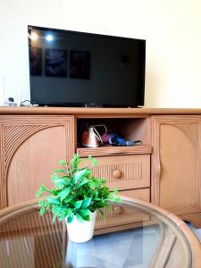 99 Glory Beach Resort - seaview, poolview, beachfront,wifi