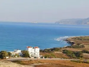 Pearl Villas Apolakkia - Beach Front Villas with Private Pool - Apolakkiá