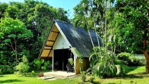 Cashewnut Tree Resort