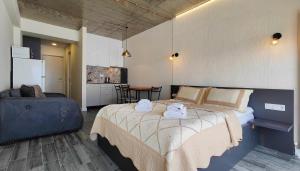 New Gudauri Twins 136 Mountain view