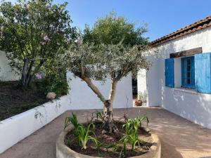 Villa vue sur mer Corse Blanca Casa à PORTICCIO AJACCIO