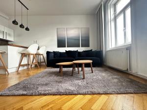 Luxury 3 bedroom apartment near Schönbrunn Palace