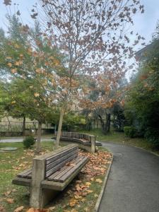 Spacious apartment in luxury residence