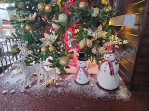 Vila Predeal Holidays