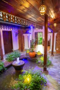 Sea Turtles Bungalow