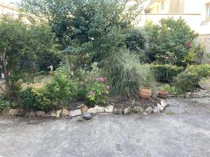 Appartements Charmant T2 a Berck Plage, proche commerces et plage, avec equipements modernes et cour fleurie - FR-1-646-31 : photos des chambres