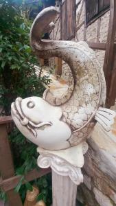 Demeter Rose Stonehouse Pansion