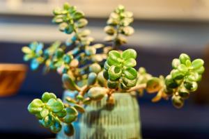 Charmante Wohnung für 2 Personen in Zentrumsnähe x Parkplatz x coworking-Arbeitsplätze im Haus