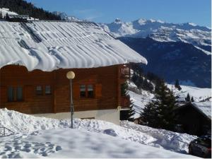 Appartement cosy 2 pièces proche piste bleue, Les Saisies - FR-1-594-322