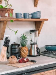 El Gato Rojas Surf Hostel