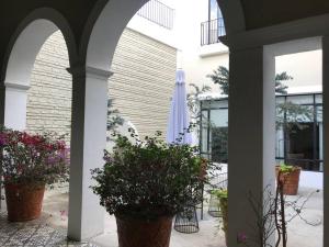 Casa Monarcas - Katerina (with AC)