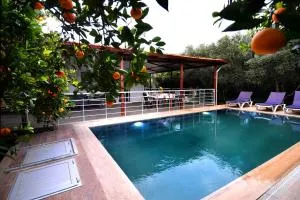 Avci Villa-Fethiye 3+1 in Garden with Private Pool, 10 minutes to the beach - Günlükbaşı
