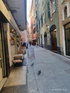 Porta Soprana House - Centro storico img29