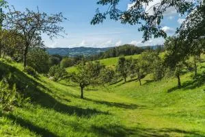 Grünewaldhof in Rimbach im Odenwald - Weiher