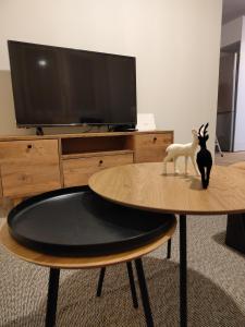 Cosy house with garden