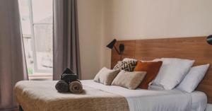 Yogi hostels