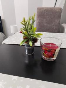 Studio apartman Nataly