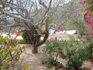 Casa Pájaros - Private 2-Story Home