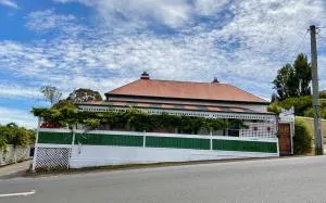 Little bird - Smithton