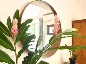 Project Tranquility, Magnetic Island