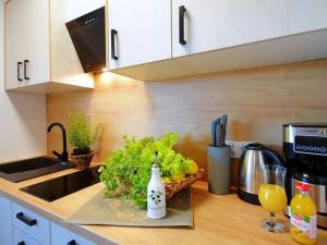 Spacious holiday homes with terraces, Mielenko