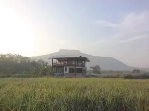 Banrai Tator Phophiang - Ban Sanam Bin