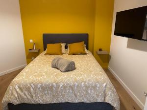 LA TORNADE Villa roof top hypercentre Vichy