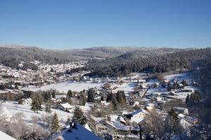 Appartements L'entre 2 Lacs : photos des chambres
