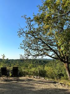 Maisons de vacances Les Bernardies : photos des chambres