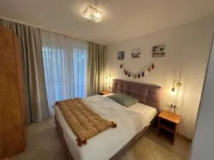 Brauner Bär mit tollen Ausblick - 施托克劳