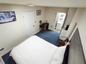 Osney Ginkgo Studio - Self Contained Studio Flat