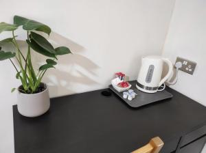 Osney Ginkgo Studio - Self Contained Studio Flat